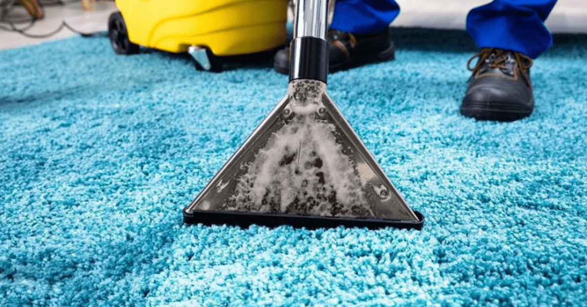 Why Clean Carpets are Crucial for an Elevated Home Environment